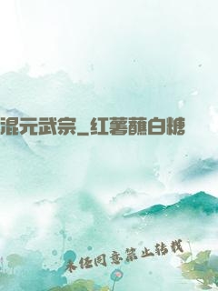 混元武宗