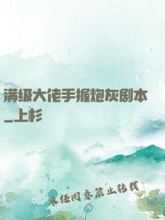 满级大佬手握炮灰剧本