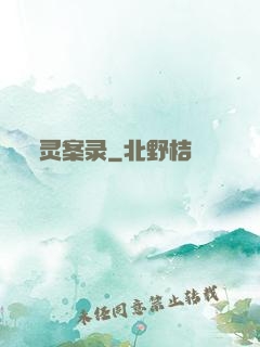 灵案录