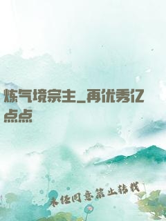 炼气境宗主