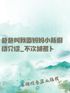 爸爸叫我畲妈妈小新剧情介绍