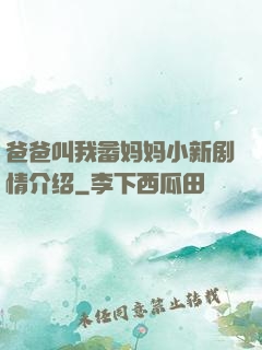爸爸叫我畲妈妈小新剧情介绍