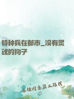 特种兵在都市