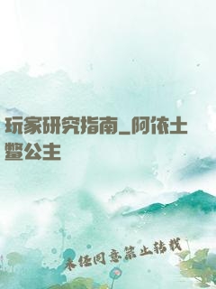 玩家研究指南