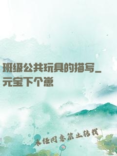 班级公共玩具的描写