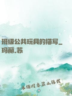班级公共玩具的描写