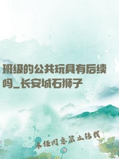 班级的公共玩具有后续吗