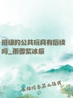 班级的公共玩具有后续吗