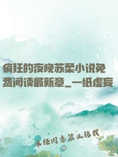 疯狂的夜晚苏柔小说免费阅读最新章