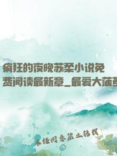 疯狂的夜晚苏柔小说免费阅读最新章