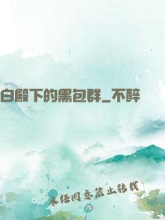 白殿下的黑包群