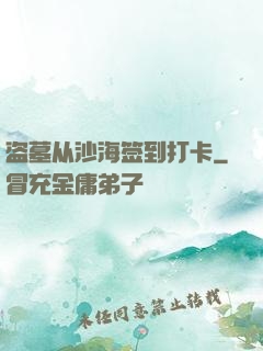 盗墓从沙海签到打卡