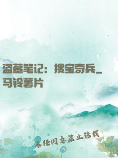盗墓笔记：搜宝奇兵