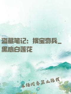 盗墓笔记：搜宝奇兵