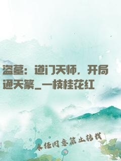 盗墓：道门天师，开局通天篆