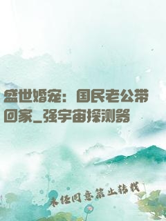 盛世婚宠：国民老公带回家