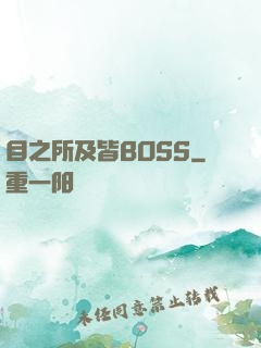 目之所及皆BOSS