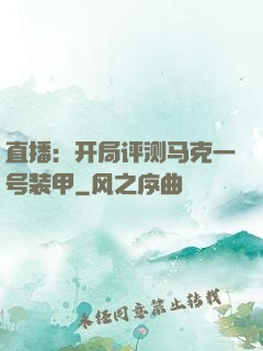 直播：开局评测马克一号装甲