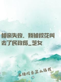 相亲失败，我被校花叫去了民政局