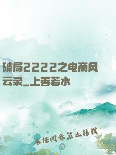 破局2222之电商风云录