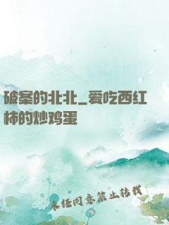 破案的北北