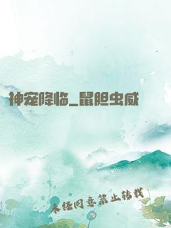 神宠降临