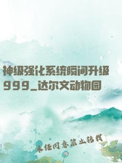 神级强化系统瞬间升级999