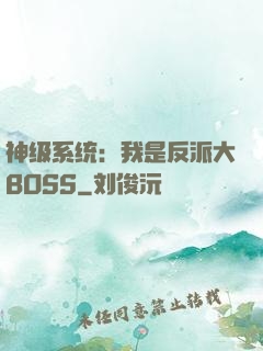 神级系统：我是反派大BOSS