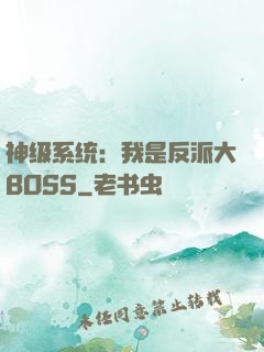 神级系统：我是反派大BOSS