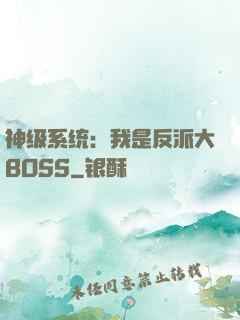 神级系统：我是反派大BOSS