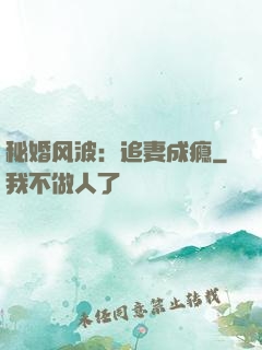 秘婚风波：追妻成瘾