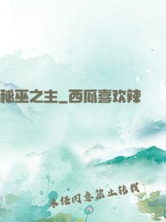 秘巫之主