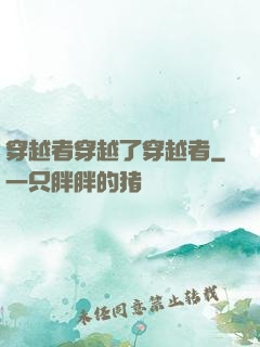 穿越者穿越了穿越者