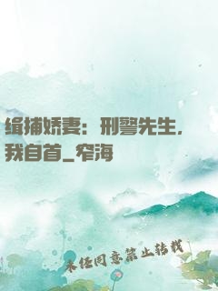 缉捕娇妻：刑警先生，我自首