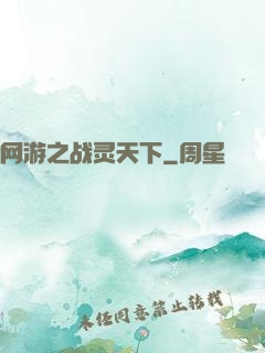 网游之战灵天下