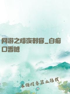 网游之暗夜刺客