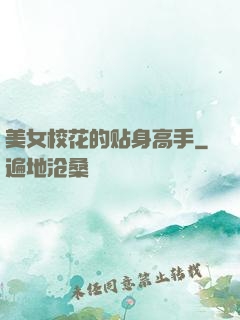 美女校花的贴身高手