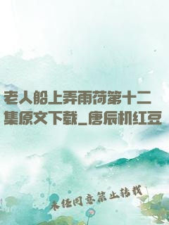 老人船上弄雨荷第十二集原文下载
