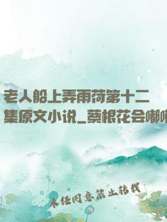 老人船上弄雨荷第十二集原文小说