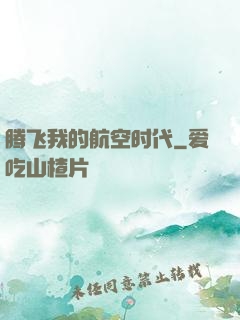 腾飞我的航空时代
