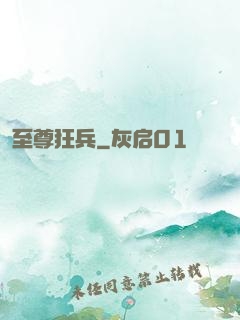 至尊狂兵