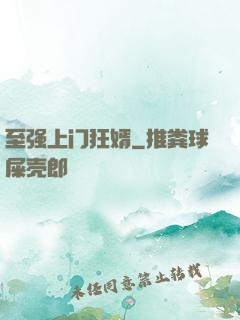 至强上门狂婿