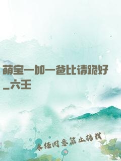 萌宝一加一爸比请跪好