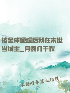 被全球通缉后我在末世当城主