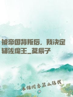 被帝国背叛后，我决定辅佐魔王