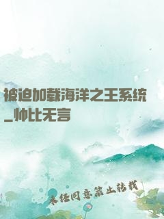 被迫加载海洋之王系统
