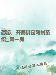 西游，开局绑定海贼系统