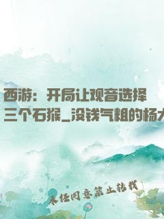 西游：开局让观音选择三个石猴