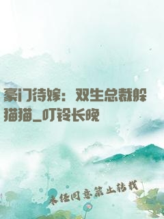 豪门待嫁：双生总裁躲猫猫