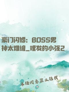 豪门闪婚：BOSS男神太难缠